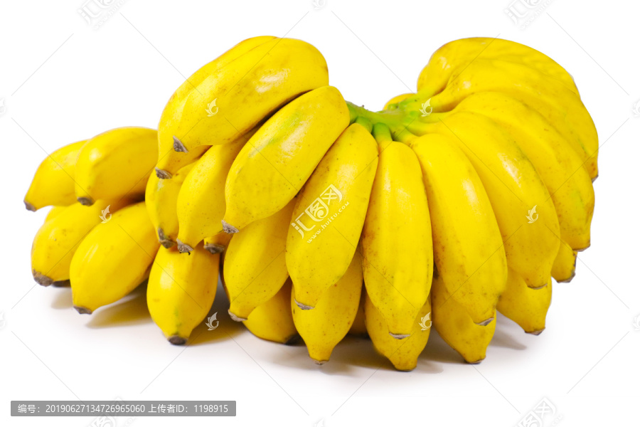 香蕉资讯